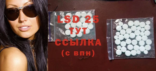 дмт Болотное