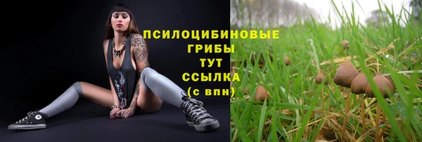 стафф Абинск