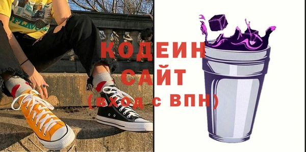 шишки Нязепетровск