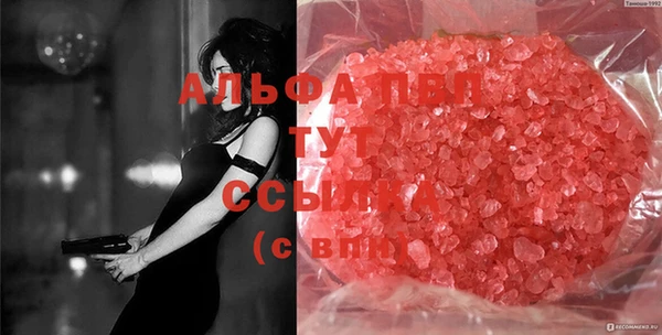 стафф Абинск