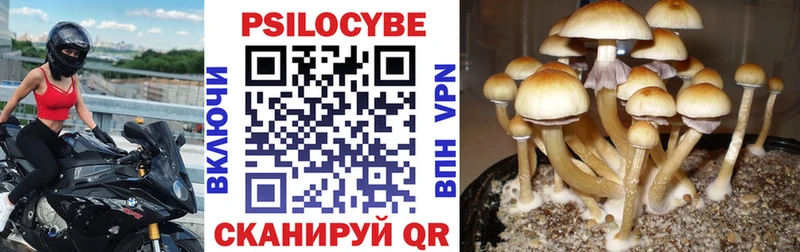 Галлюциногенные грибы MAGIC MUSHROOMS  Усолье-Сибирское 